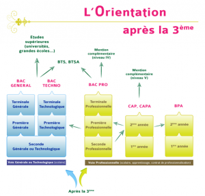 orientation-schema 600